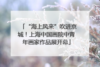 “海上风来”吹进京城！上海中国画院中青年画家作品展开幕